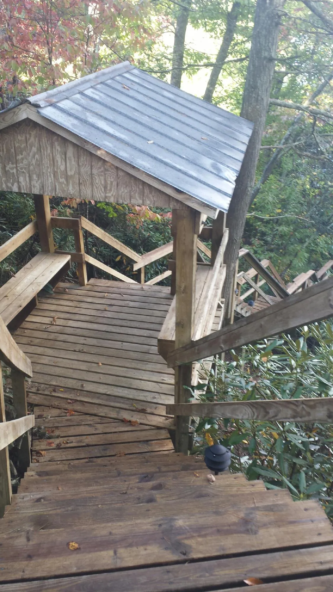 Metal roofed shelter over wooden steps on a wooded walkway — Skylight Repair & Installation work by our crew in Pickrell